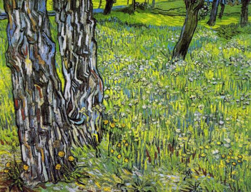 Pine Trees and Dandelions in the Garden of Saint Paul Hospital, 1890