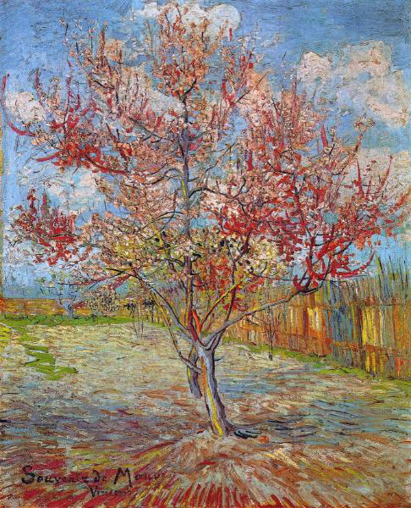 Peach Tree in Blossom