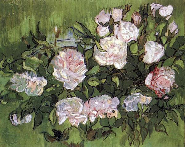 Pink Roses