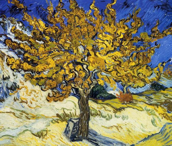 The Mulberry Tree, 1889