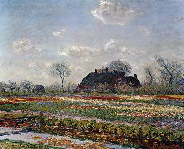 Tulip Field, Sassenheim
