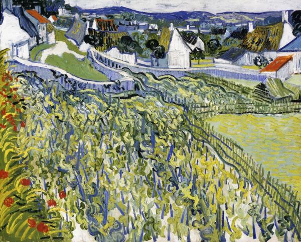 Vineyards in Auvers