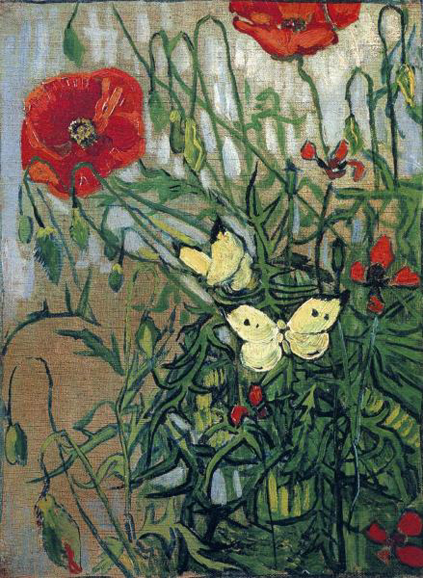 Butterflies and Poppies