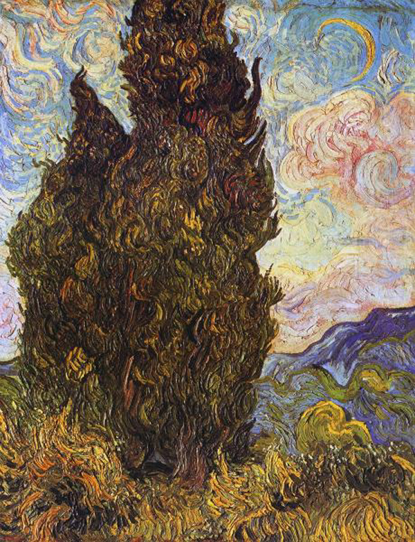 Cypresses