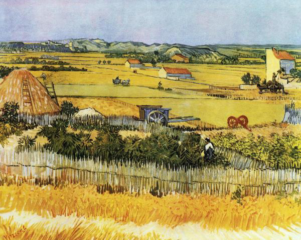 Harvest At La Crau And Montmajour