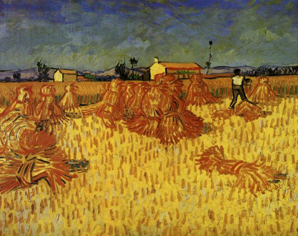 Harvest in Provence