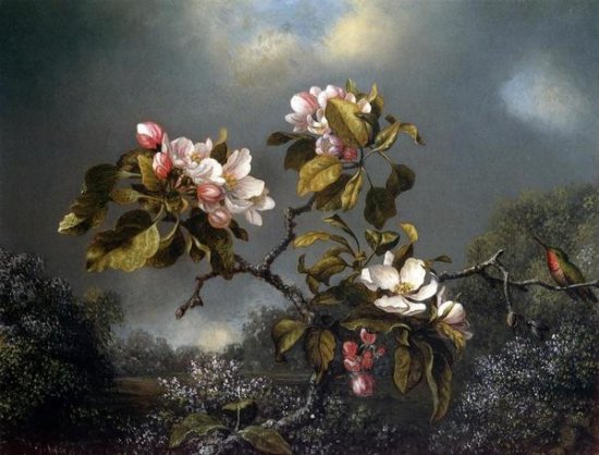 Apple Blossom and Hummingbird