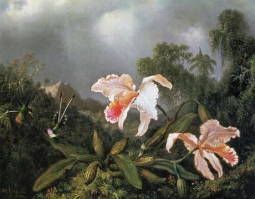 Jungle Orchids and Hummingbirds 1872
