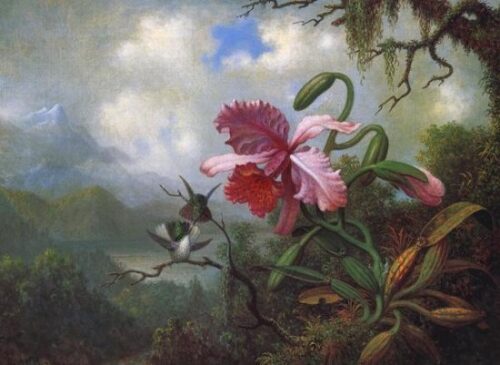 Orchids and Hummingbirds Near a Mountain Lake