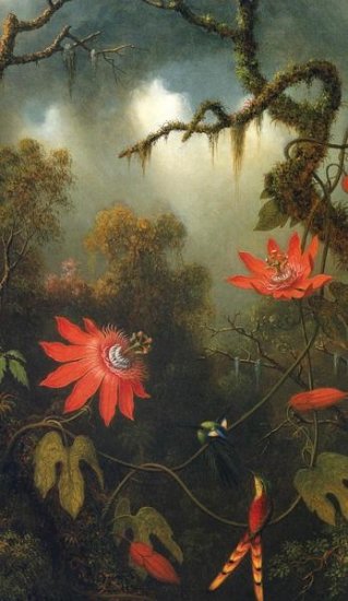 Two Hummingbirds Perched On Passion Flower Vines