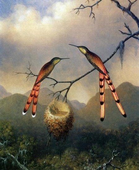 Two Hummingbirds with Their Young