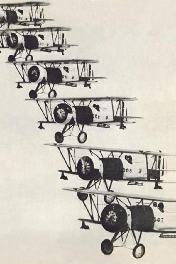 Flying in Formation