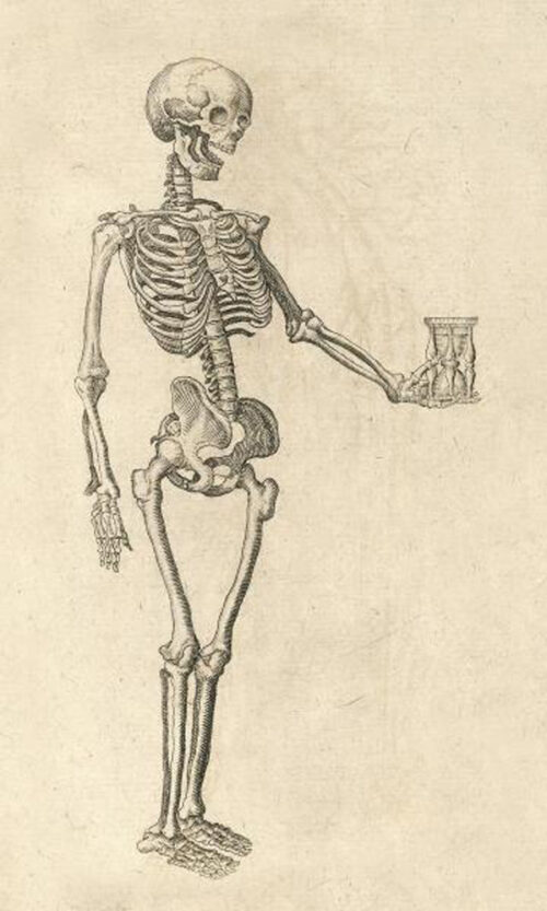 Human Skeleton with Hourglass