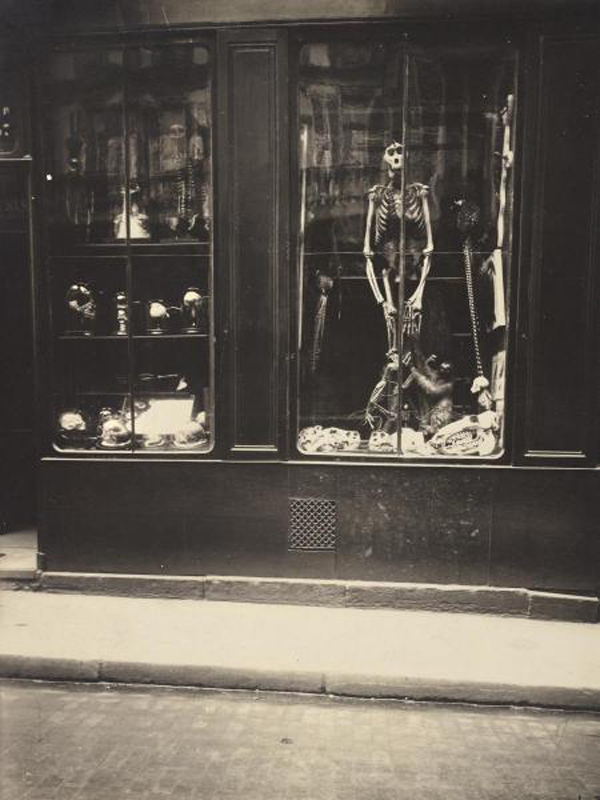 Zoologist's Shop