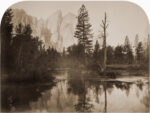 River View - Down the Valley - Yosemite, California, 1861