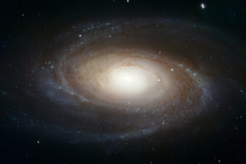 Spiral Galaxy M81