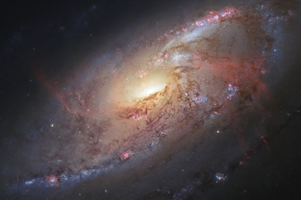 Galaxy M106