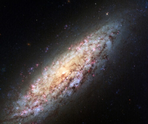 Spiral Galaxy NGC6503