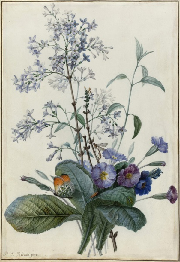 A Bouquet of Flowers with Insects