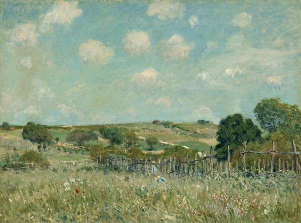 Meadow, 1875