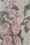 Prairie Rose
