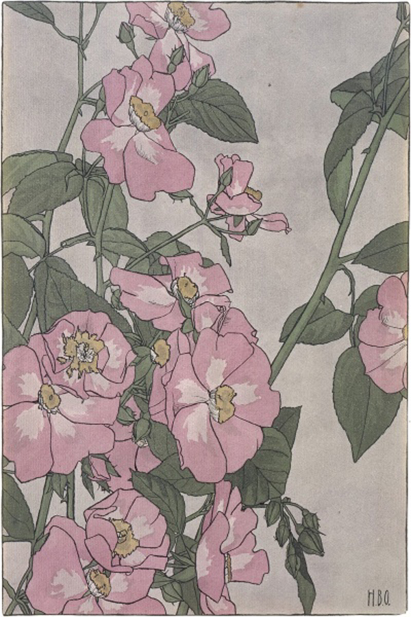 Prairie Rose
