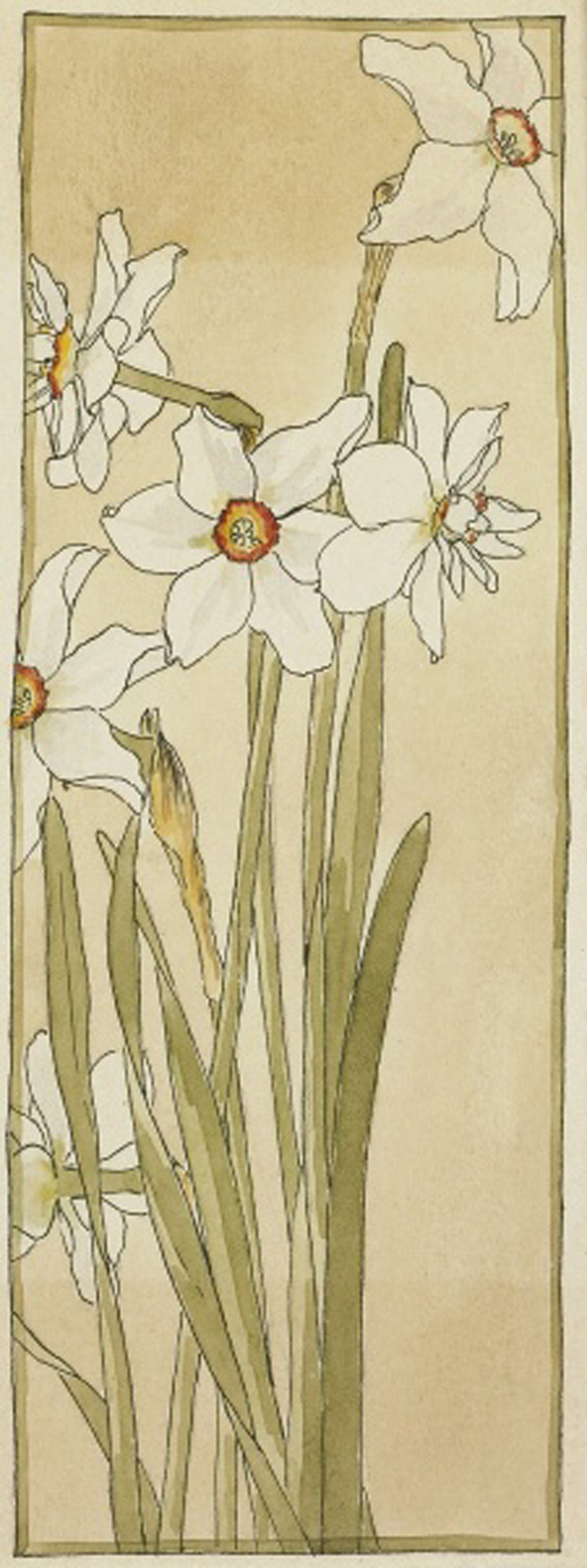 Poet's Narcissus