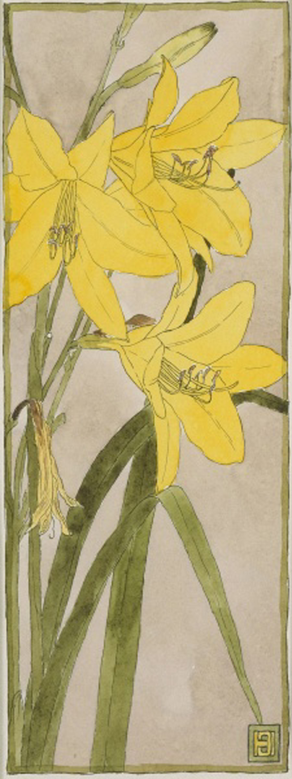 Yellow Daylily