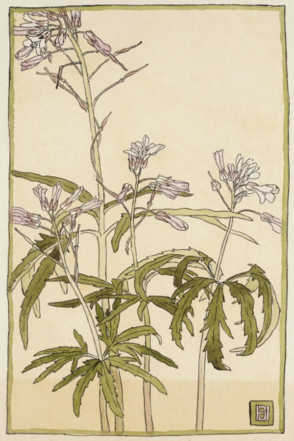 Pink Flowers with Spiky Green Leaves