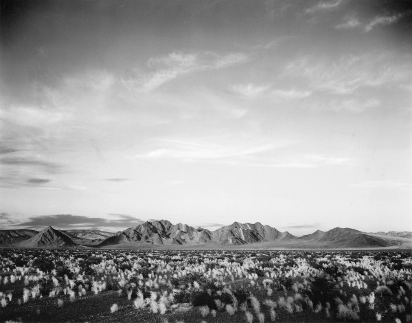 Distant Mountains: Desert and Shrubs in Foreground near Death Valley National Monument, California - National Parks and Monuments, 1941