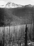 Burned Area, Glacier National Park, Montana - National Parks and Monuments, 1941