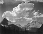 Trees in Glacier National Park, Montana - National Parks and Monuments, 1941