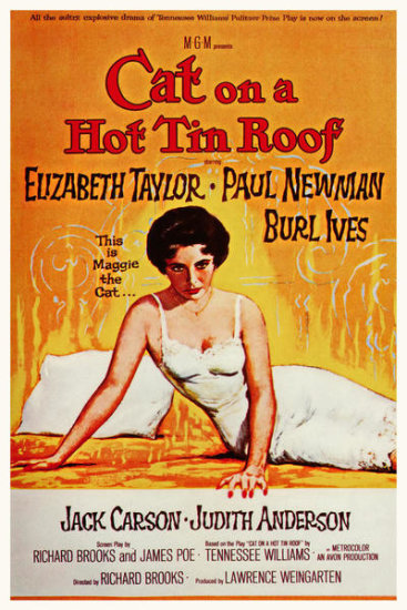 Cat On a Hot Tin Roof