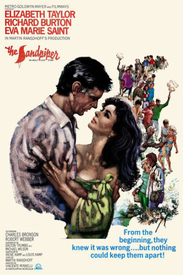 The Sandpiper