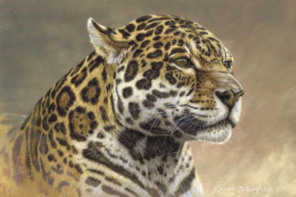 Jaguar
