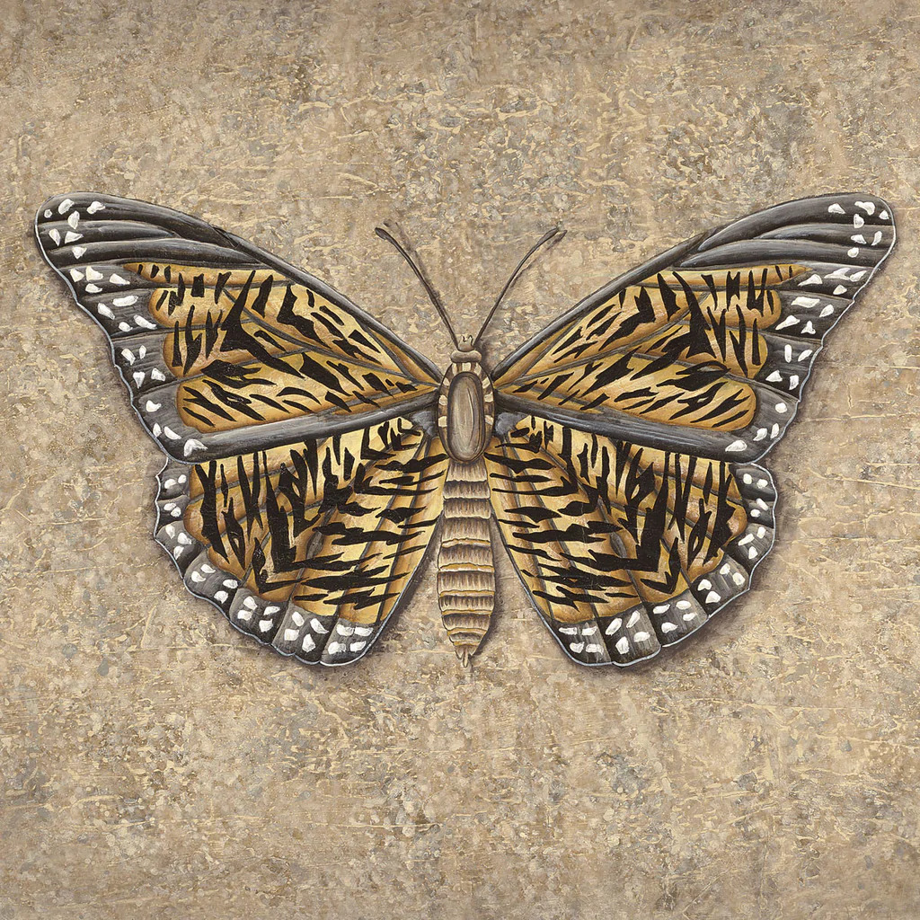 Tiger Butterfly