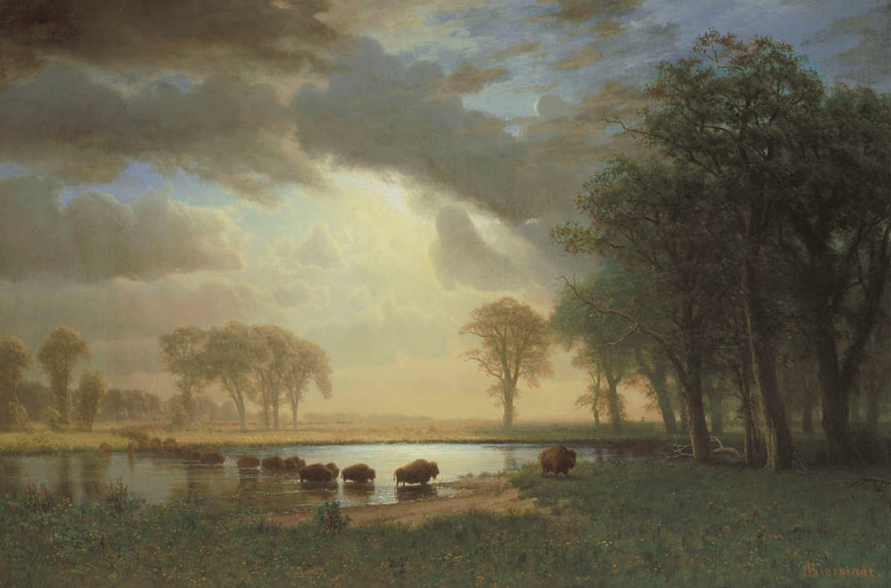 The Buffalo Trail, c.1867