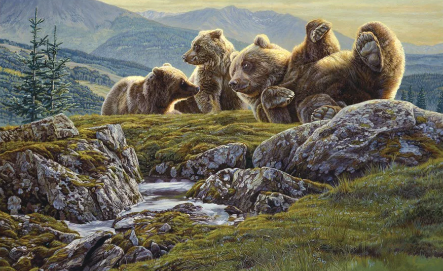 Above the Ridge