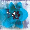 Tulip Fresco (blue)