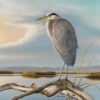 Marsh Watch - Great Blue Heron