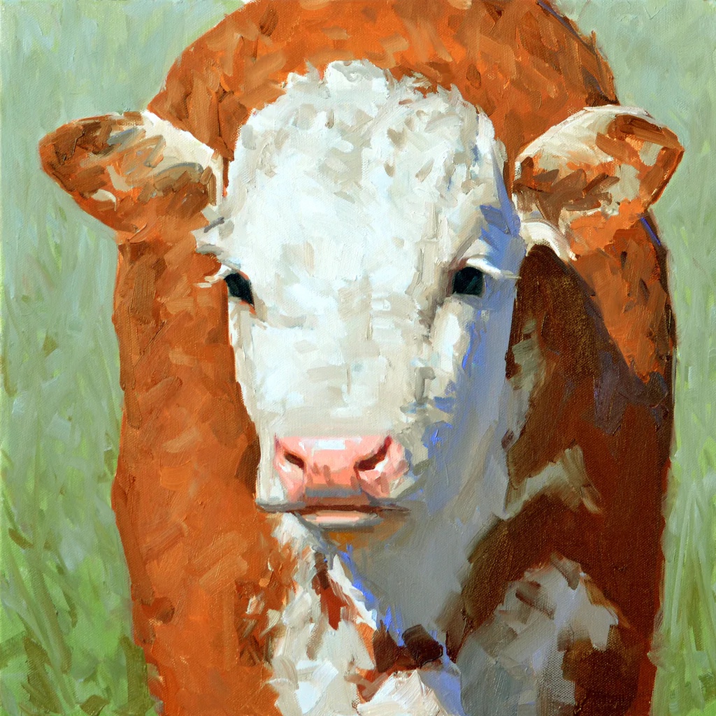 Calf Face