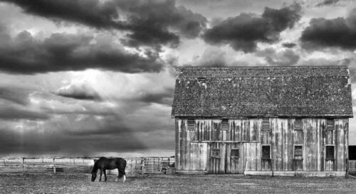 Horse and Barn