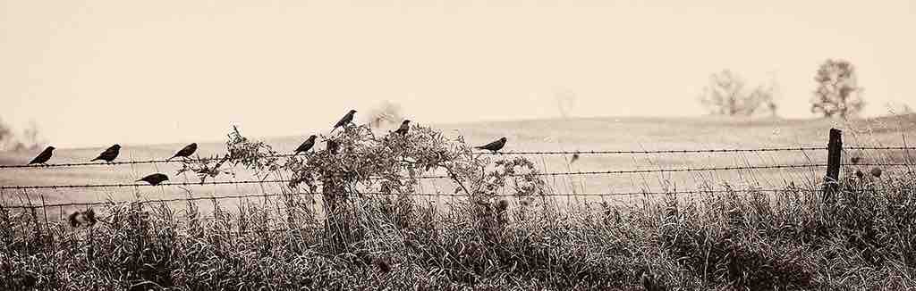 Resting Place