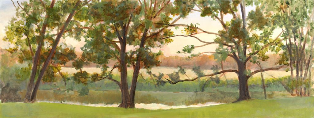 Mill Stream Willows