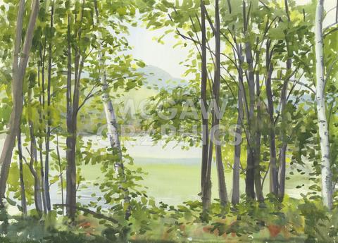 Summer Lake  V
