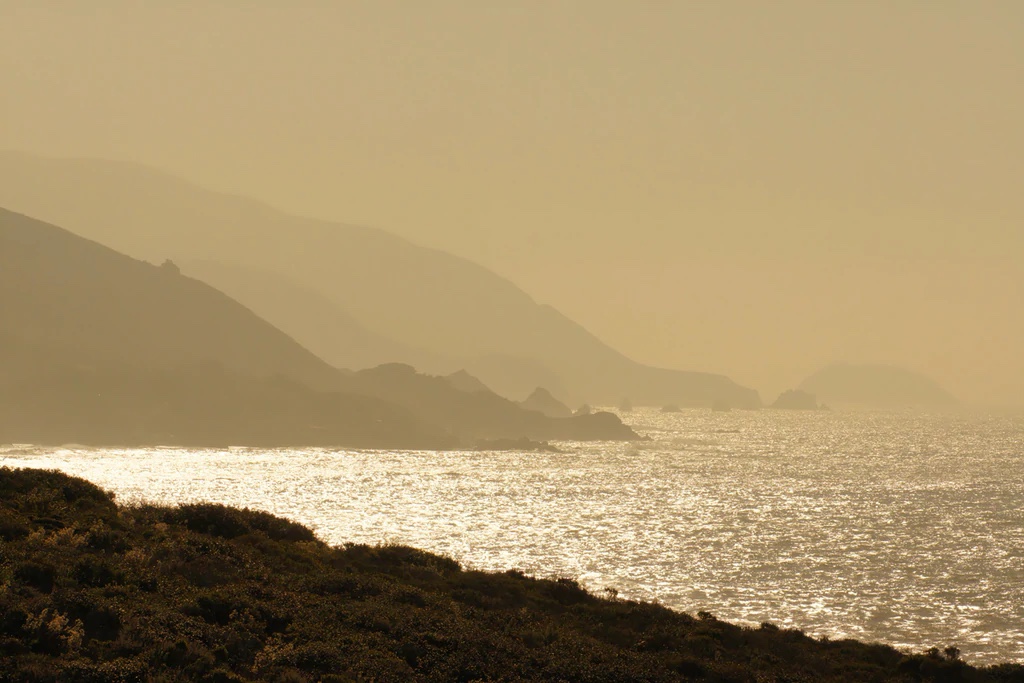 Gold Morning