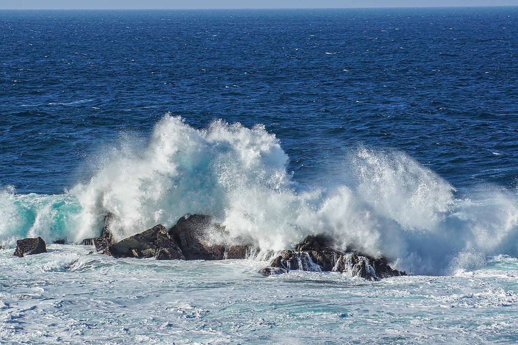 Surf