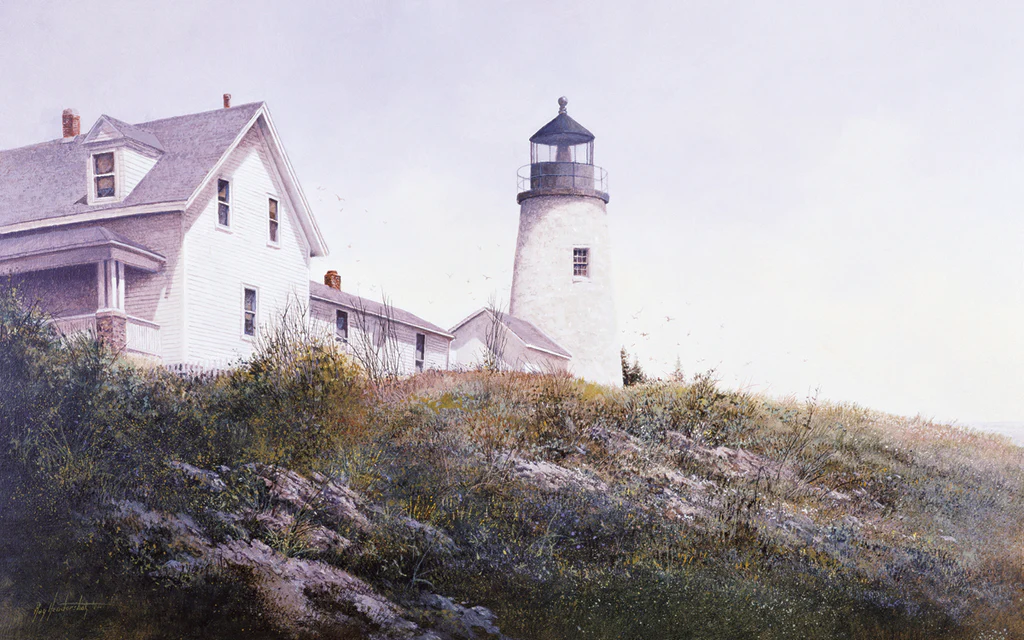 Gulls At Pemaquid