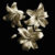 Three Lilies