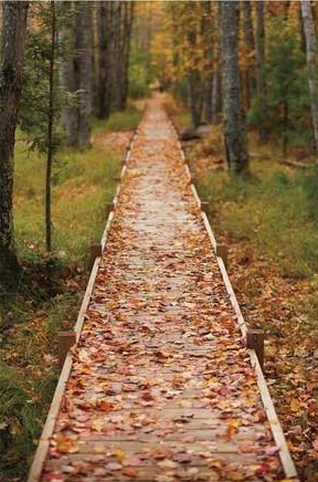Straight Path